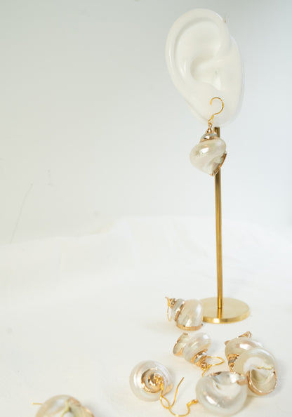 White conch Earring