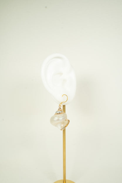 White conch Earring
