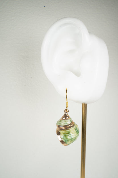Green conch Earring