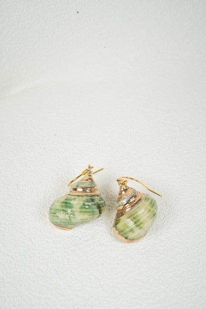 Green conch Earring