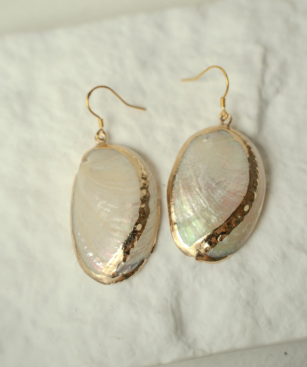 Abalone Earring