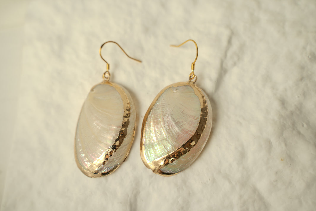Abalone Earring