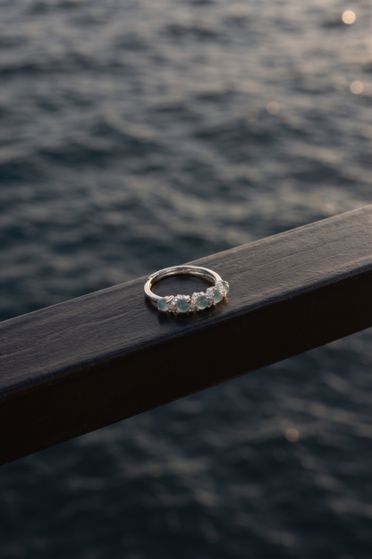 Río Motagua Ring