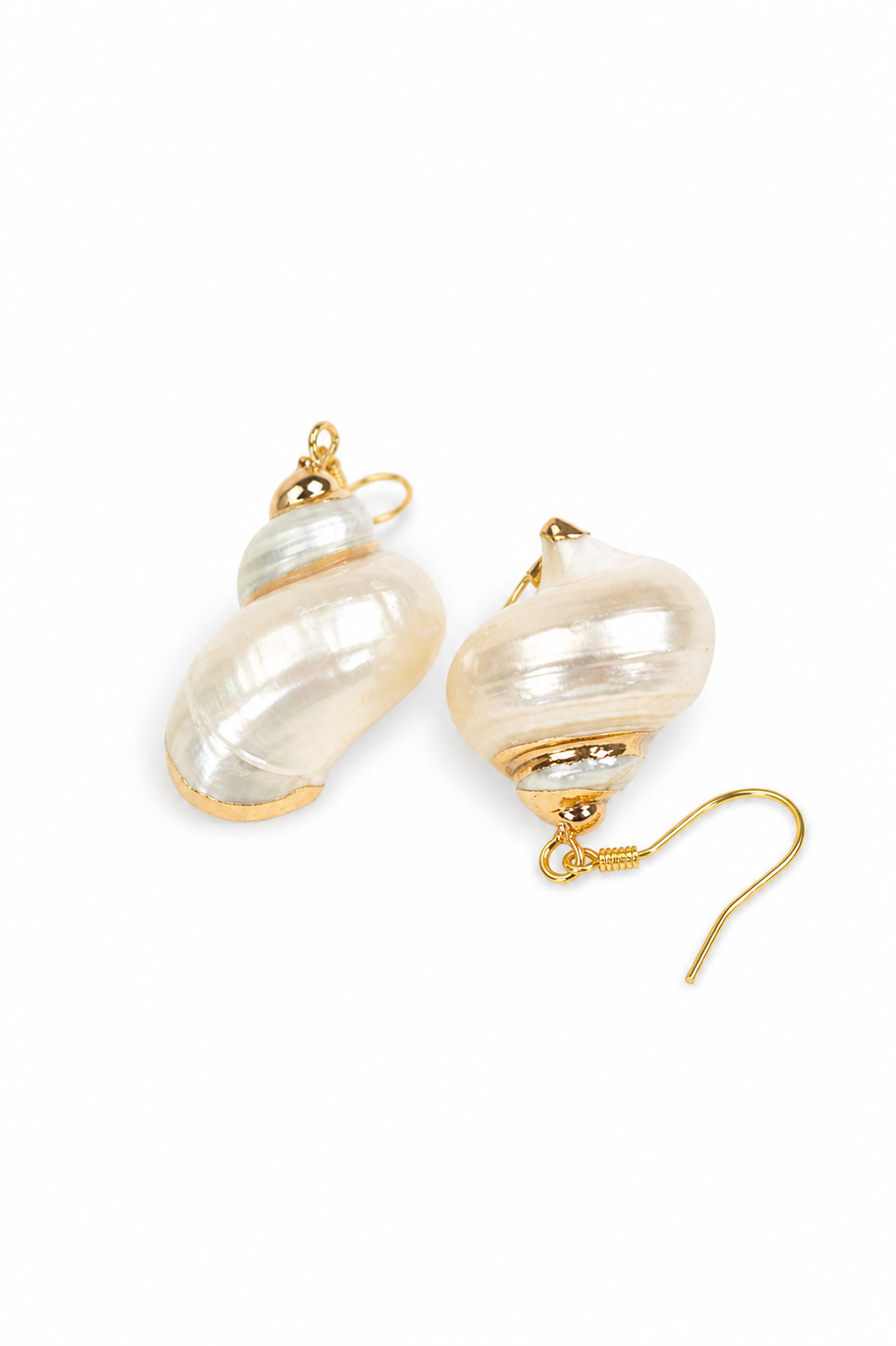 White conch Earring